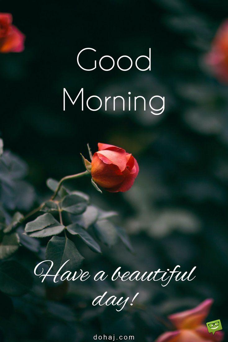 Quotes Good Morning