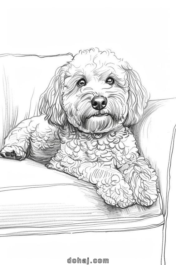 Realistic Dog Drawing Step By Step Realistic