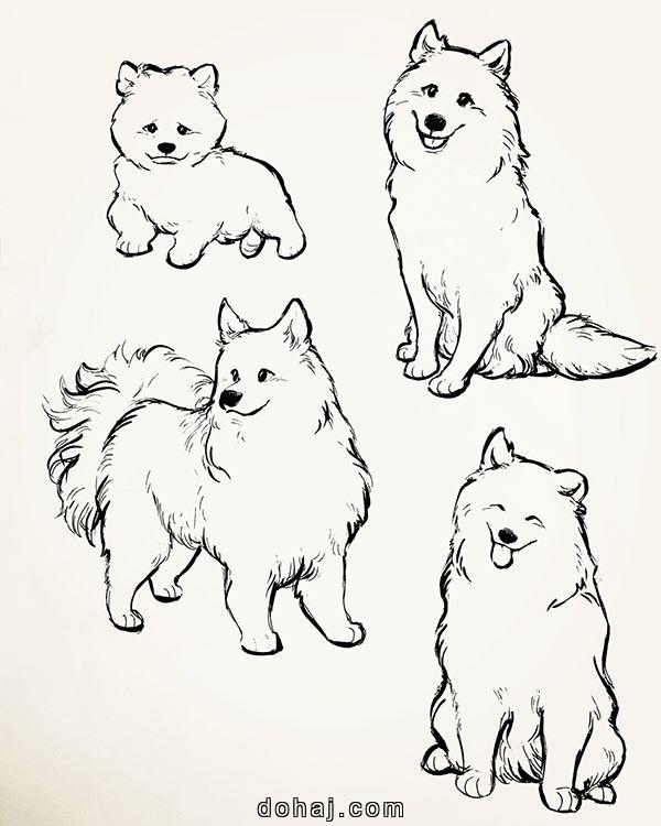 Realistic Dog Face Drawing