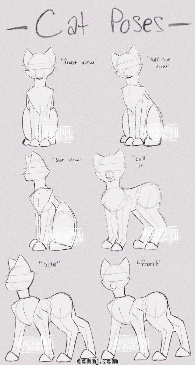 Realistic Realistic Cat Drawing