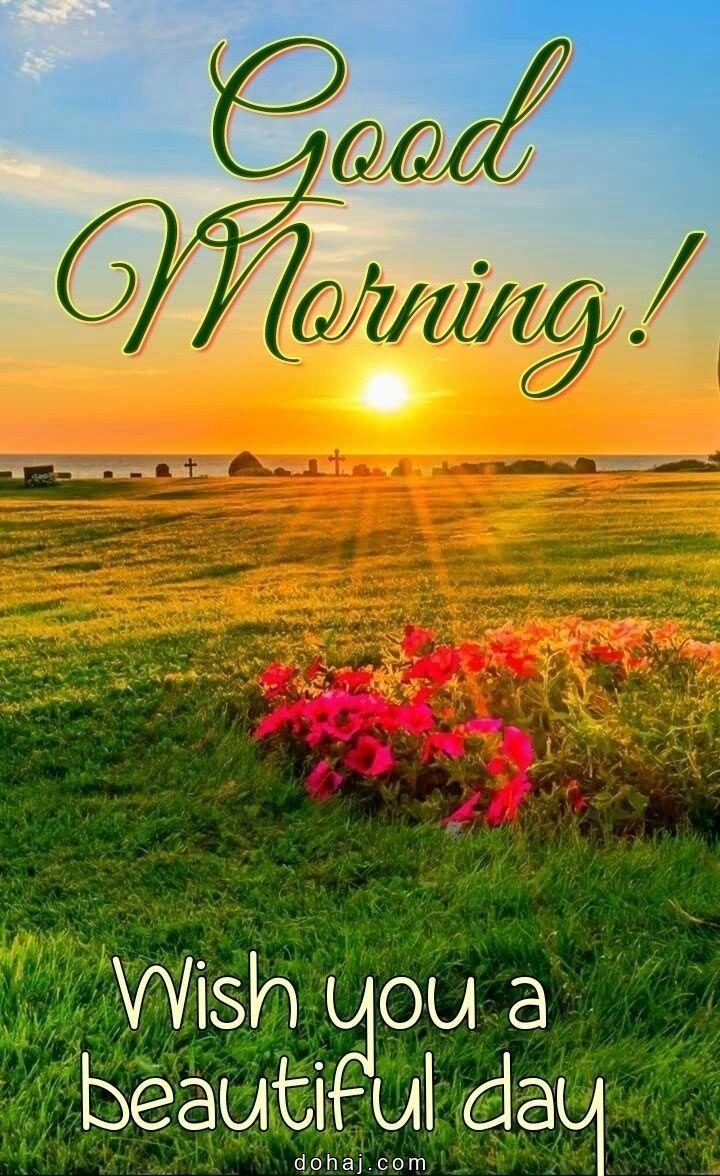 Reality Good Morning Quotes Life