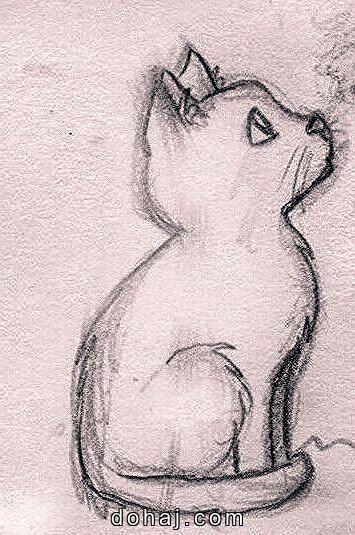 Sad Cat Drawing