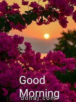 Short Motivational Good Morning Quotes