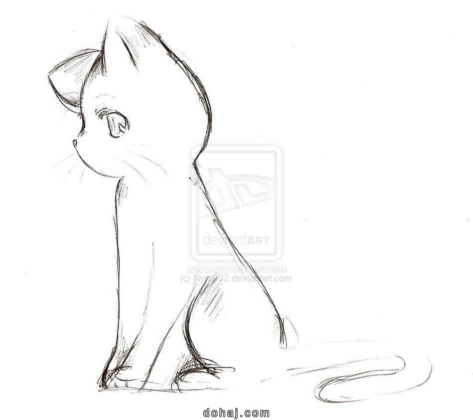 Sketch Easy Cat Drawing