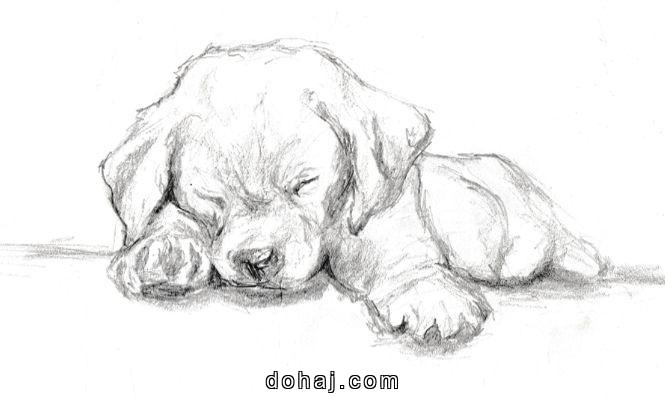 Want A Hot Dog Drawing