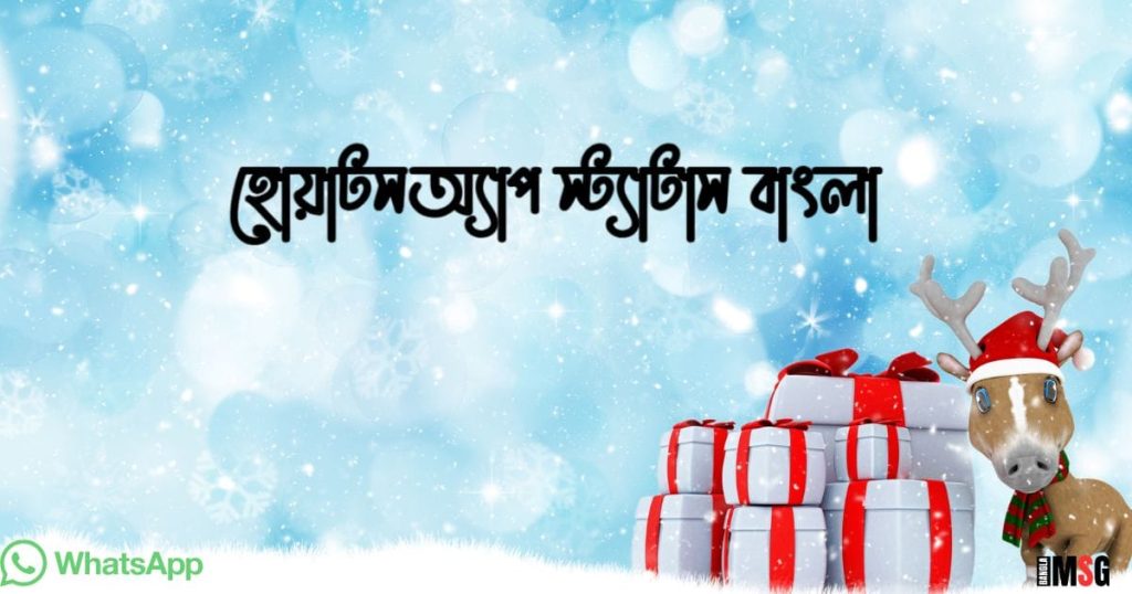 ১০০+ হোয়াটসঅ্যাপ স্ট্যাটাস বাংলা: নিউ হোয়াটসঅ্যাপ স্ট্যাটাস ২০২৬, বেস্ট ক্যাপশন বাংলা attitude boy