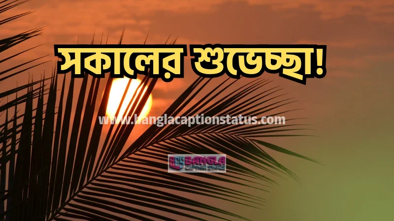 ২৯৯+ সকালের শুভেচ্ছা | good morning wishes | শুভ সকালের স্ট্যাটাস, ক্যাপশন ও মেসেজ ও SMS, কষ্টের কিছু কথা