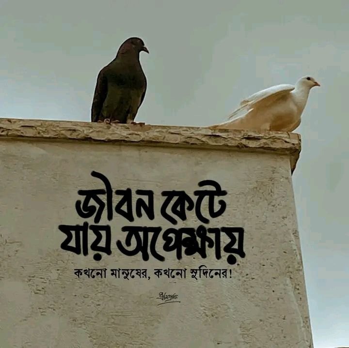 Facebook Post Caption