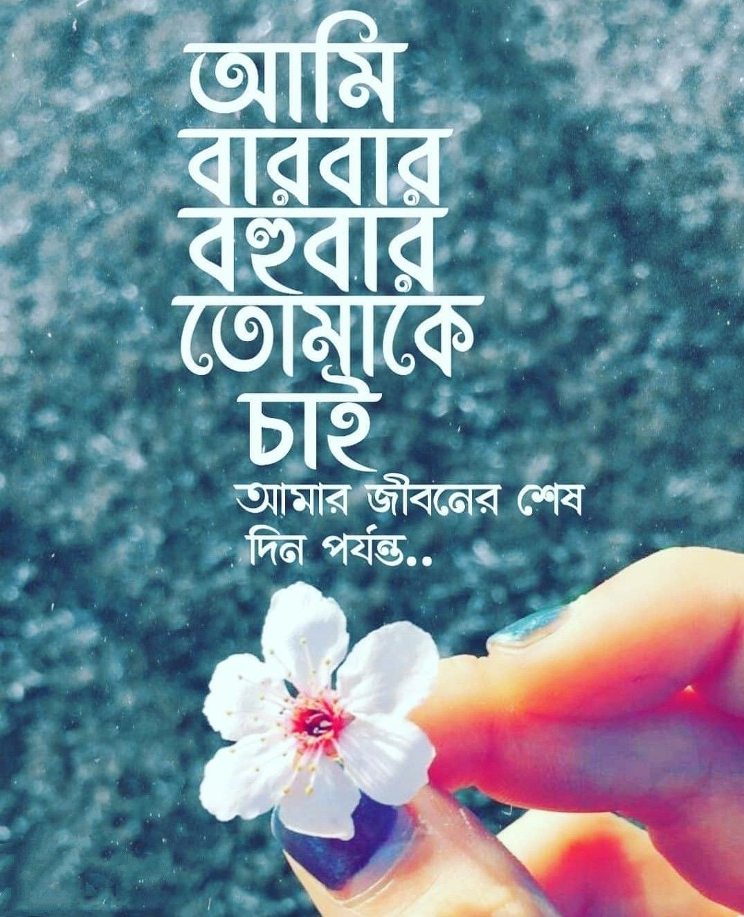 ভালোবাসার রোমান্টিক স্ট্যাটাস
