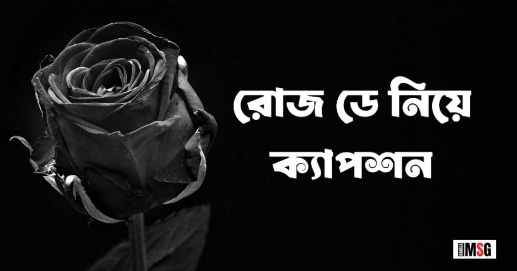 ১০০+ রোজ ডে নিয়ে ক্যাপশন: রোজ ডে নিয়ে ফানি ও মজার স্ট্যাটাস ২০২৬, ইসলামিক শিক্ষামূলক উক্তি