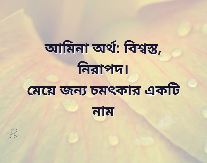 আকর্ষণীয় একটি ছবি