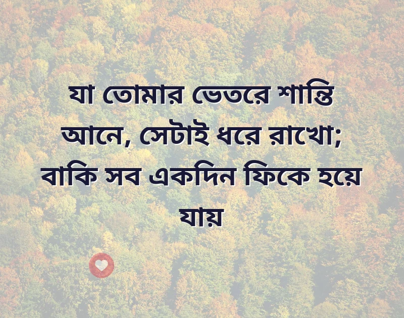 আকর্ষণীয় একটি ছবি