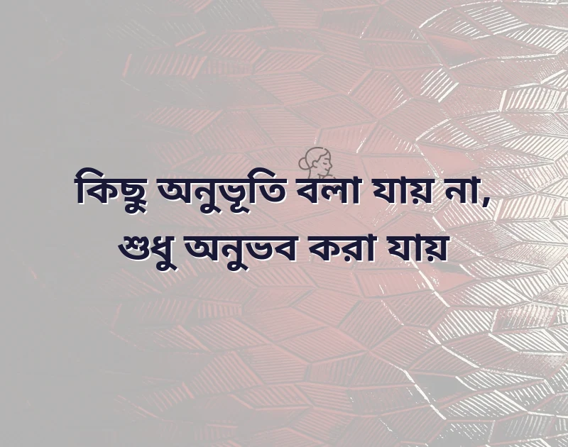 সুন্দর একটি ছবি
