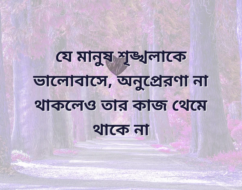 শেয়ার করার মতো ছবি