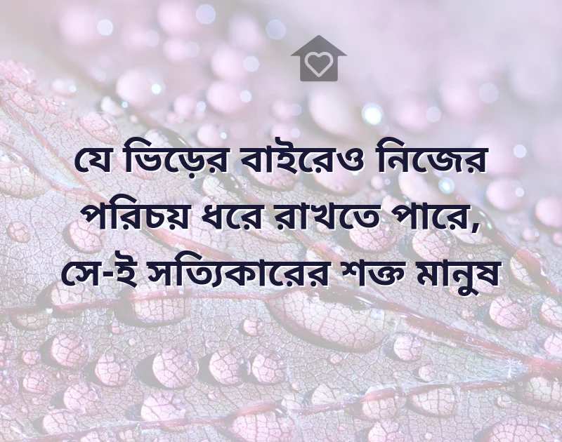শেয়ার করার মতো ছবি