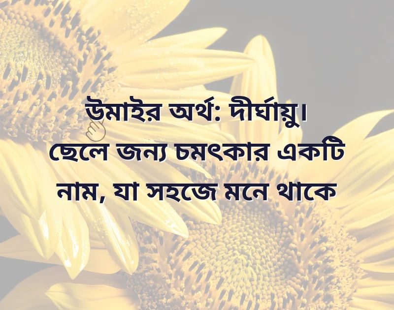 আল্লাহর পছন্দের ছেলেদের নাম