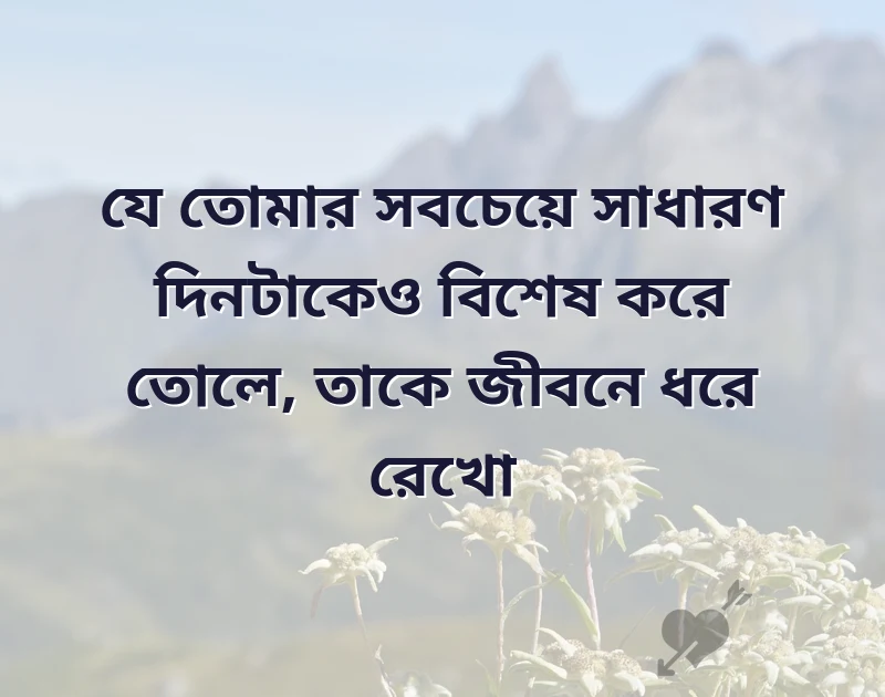সুন্দর একটি ছবি