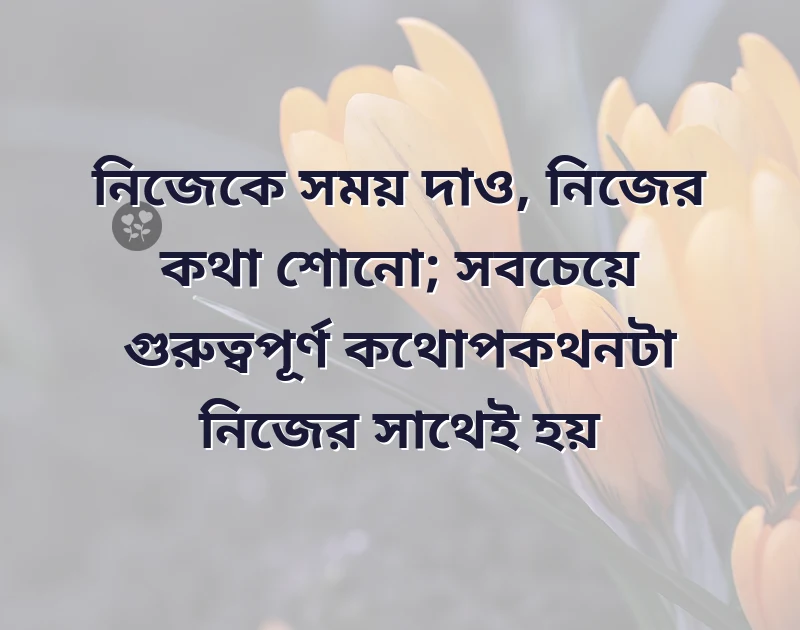 আকর্ষণীয় একটি ছবি