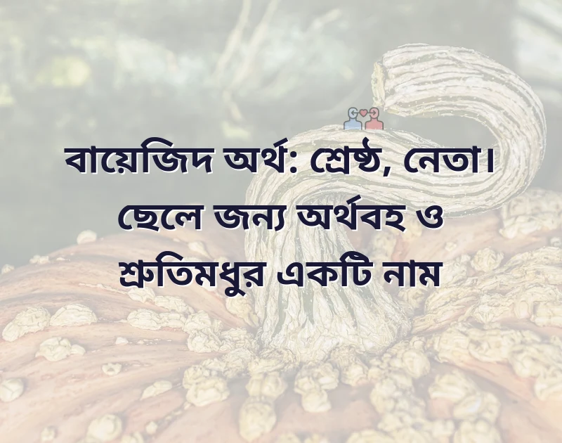 আকর্ষণীয় একটি ছবি