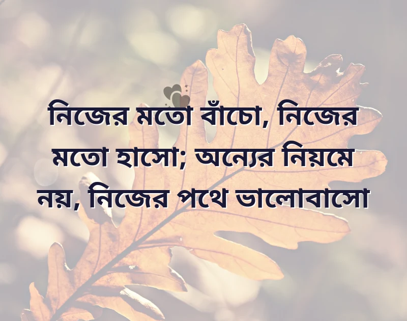 আকর্ষণীয় একটি ছবি