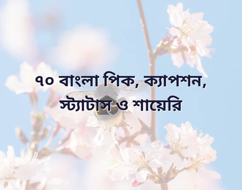 বাংলা bio