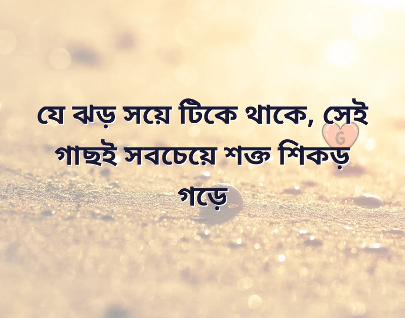 আকর্ষণীয় একটি ছবি