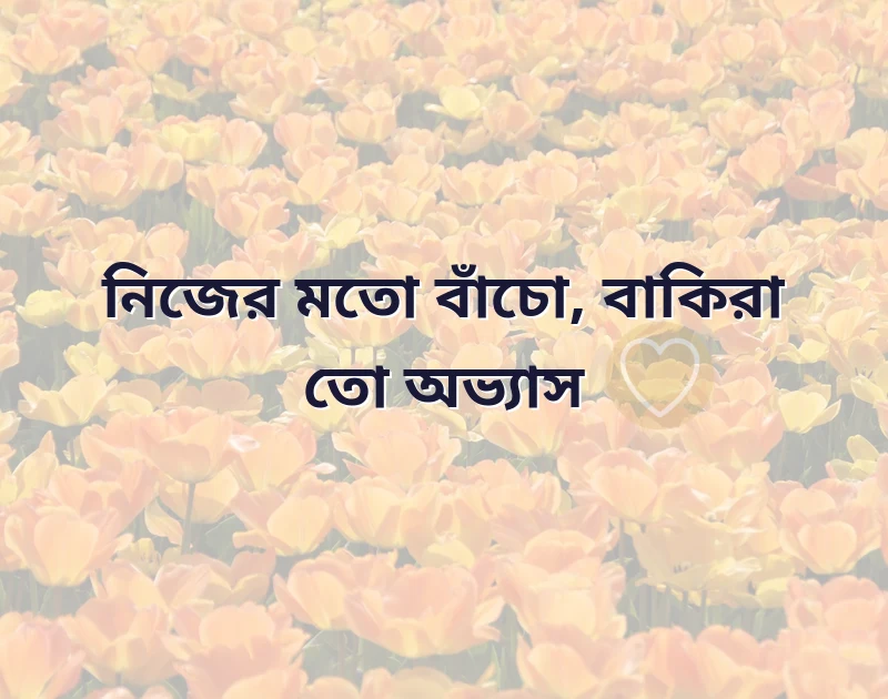 পছন্দের একটি ছবি