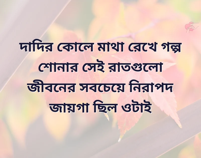 মন ছুঁয়ে যাওয়া ছবি