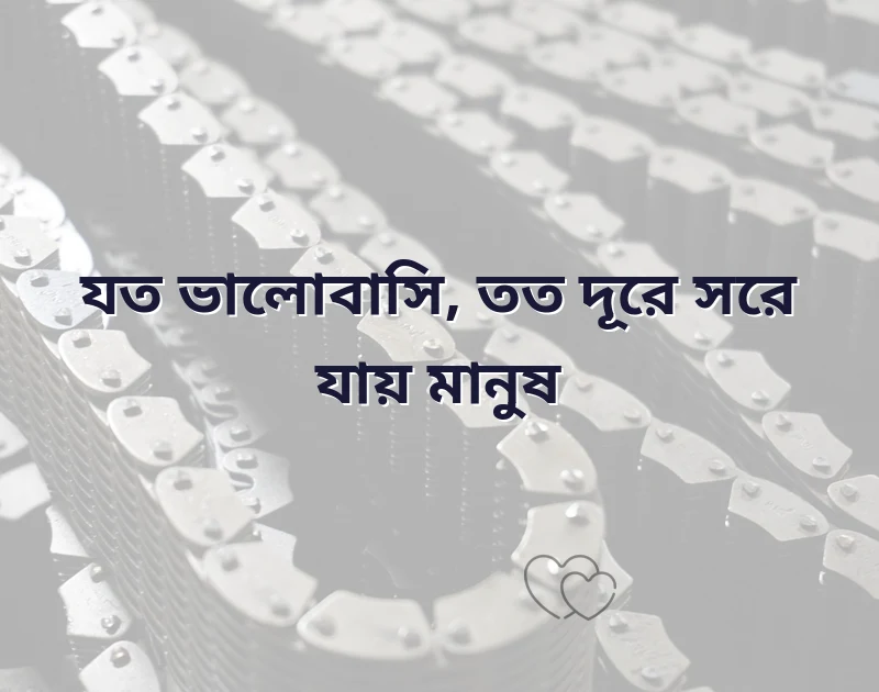 দারুণ একটি ছবি