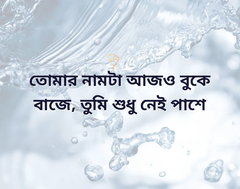 bangla shayari love sad