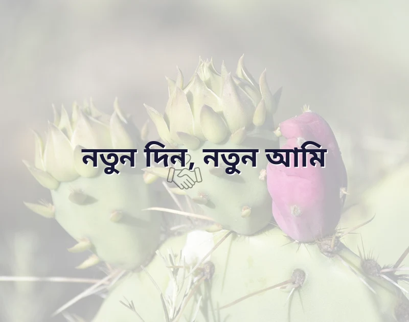 পছন্দের একটি ছবি