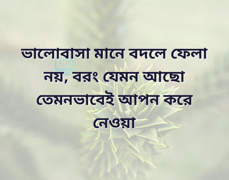 আকর্ষণীয় একটি ছবি