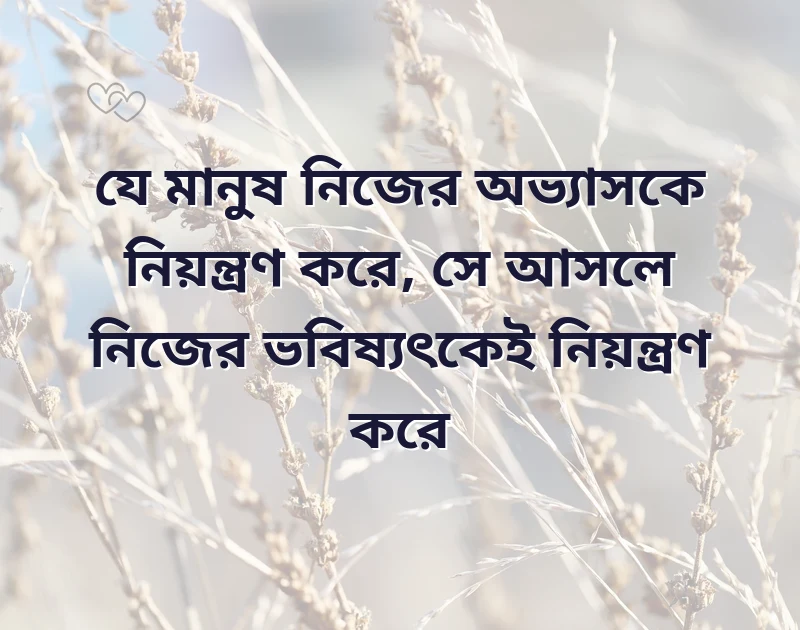 সুন্দর একটি ছবি