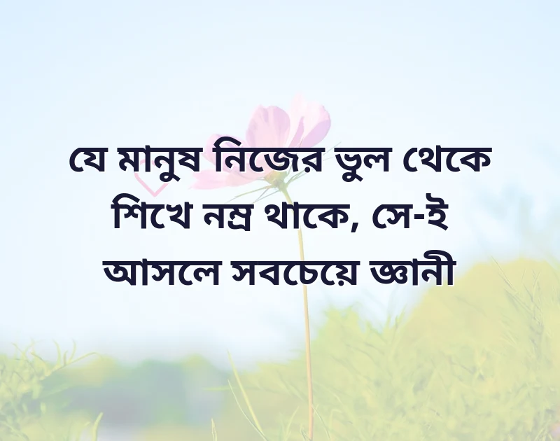 দারুণ একটি ছবি