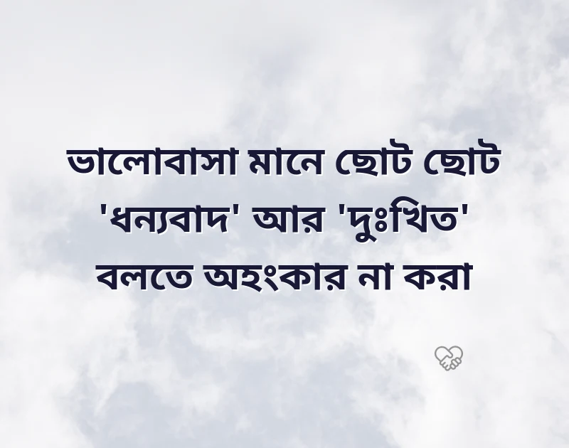 সুন্দর একটি ছবি