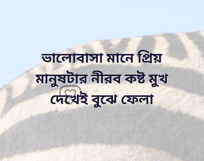 bengali love captions for facebook