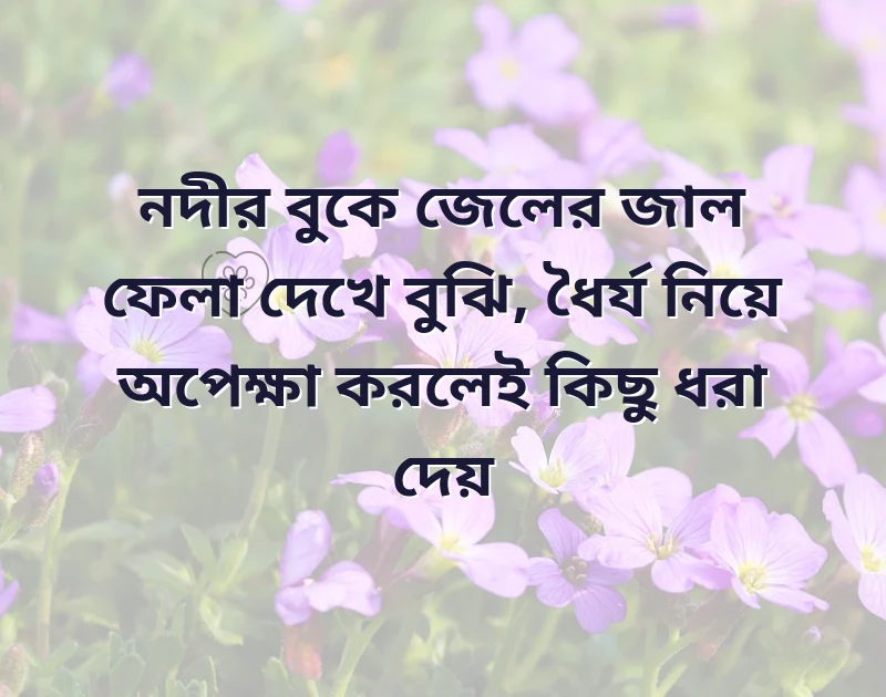bengali whatsapp bio
