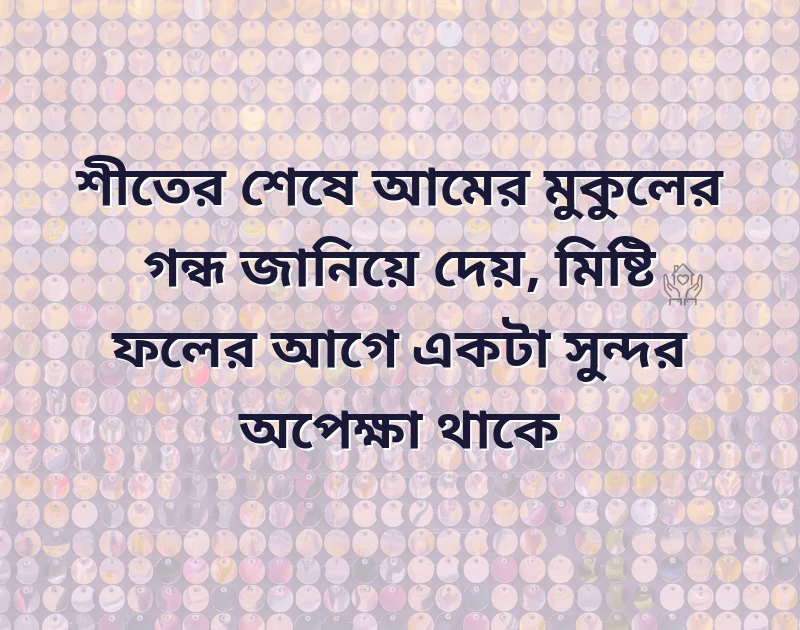 মন ছুঁয়ে যাওয়া ছবি