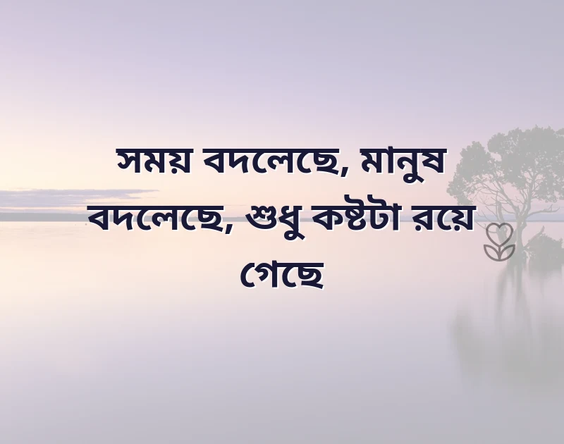 দারুণ একটি ছবি