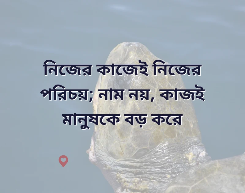 শেয়ার করার মতো ছবি