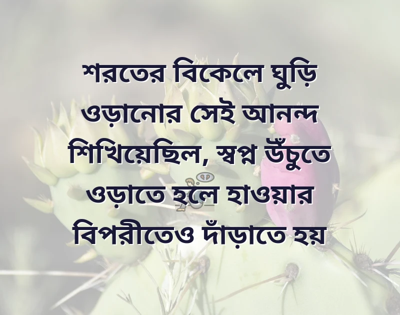 bio for facebook for girl bangla