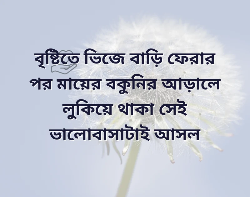 সুন্দর একটি ছবি