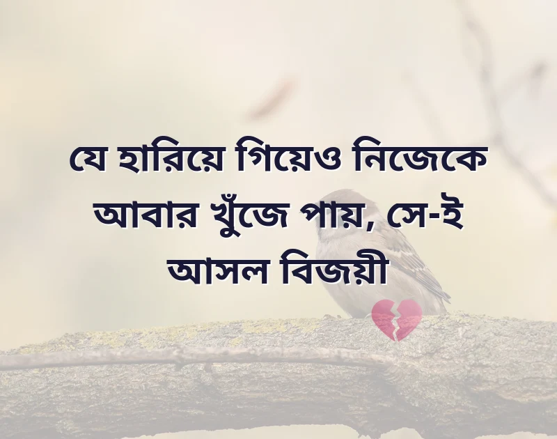আকর্ষণীয় একটি ছবি