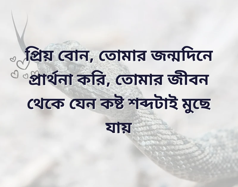 bon er birthday wish bangla