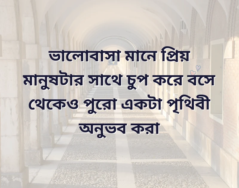 মন ছুঁয়ে যাওয়া ছবি