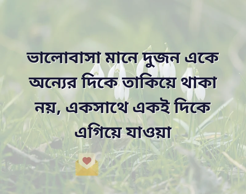 মন ছুঁয়ে যাওয়া ছবি