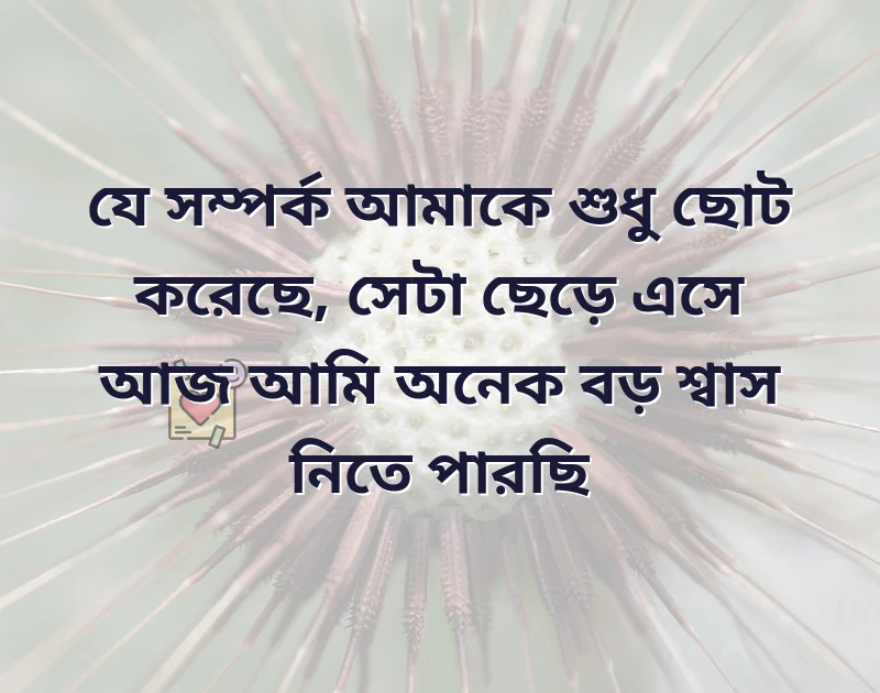 দারুণ একটি ছবি