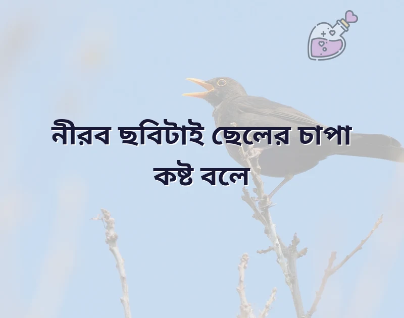 সুন্দর একটি ছবি