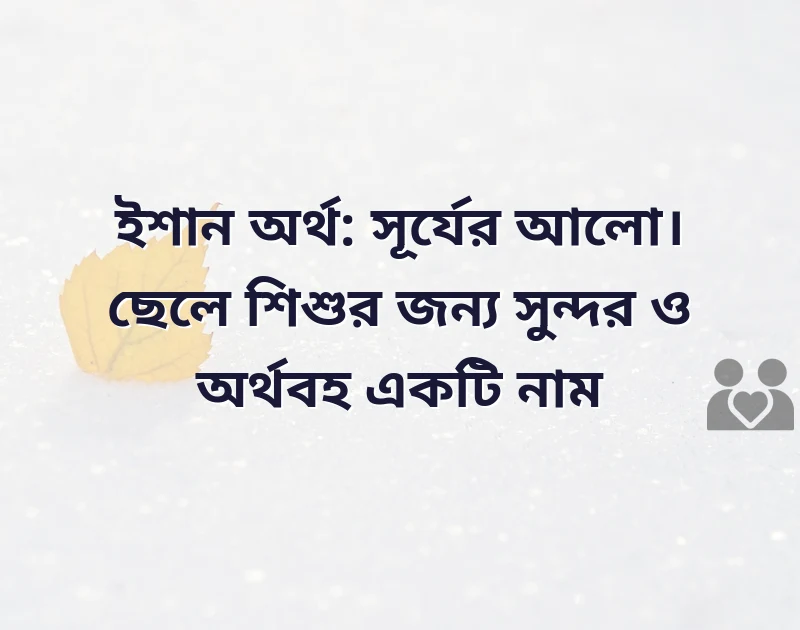 মন ছুঁয়ে যাওয়া ছবি