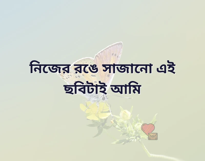 পছন্দের একটি ছবি